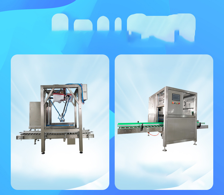 全自動(dòng)裝箱機(jī)